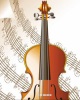 Vioara
