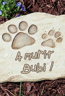 A murit Bubi!