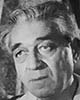 nicolae sireteanu