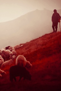 Copertă Maitreyi
