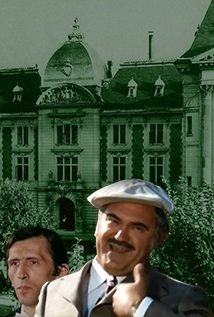 Funcționarul de la Domenii