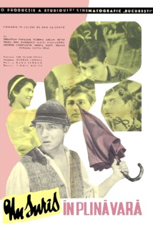 Coperta Un surâs în plină vară (1963)