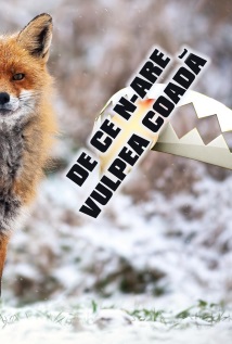 De ce n-are vulpea coadă